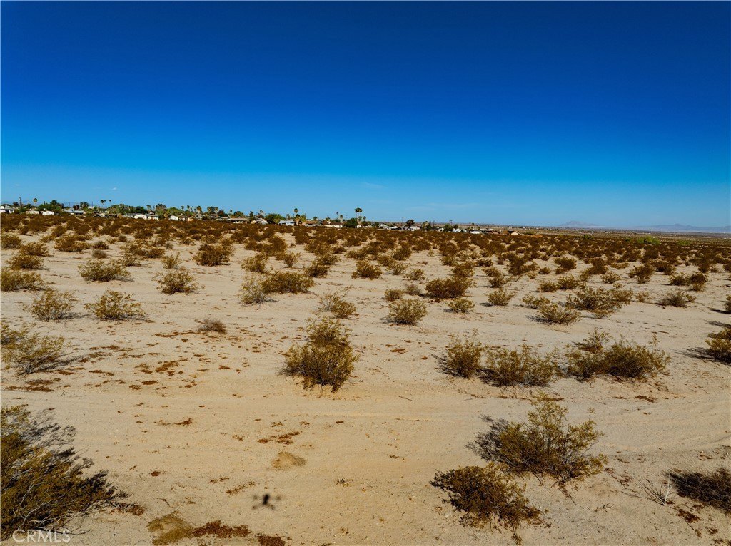 Picture 26