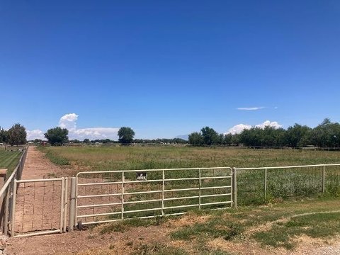 Land, Bosque Farms, NM