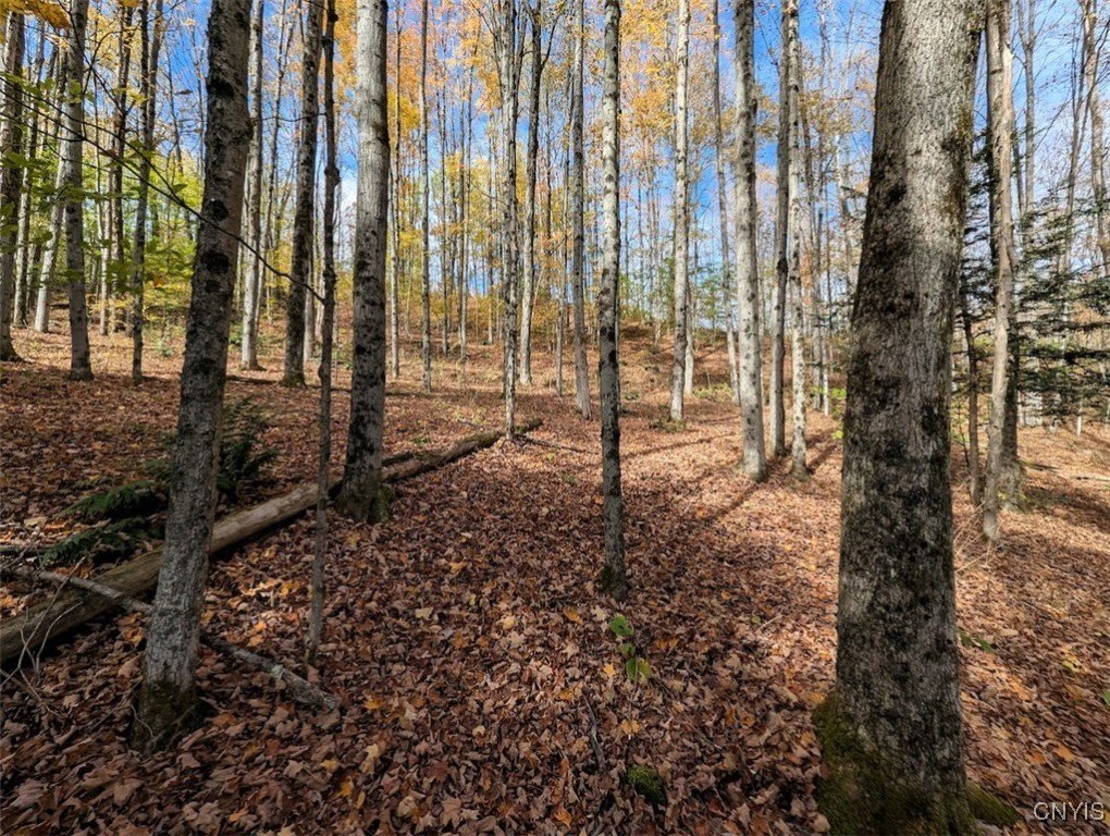 Wooded Recreational Land with Stream