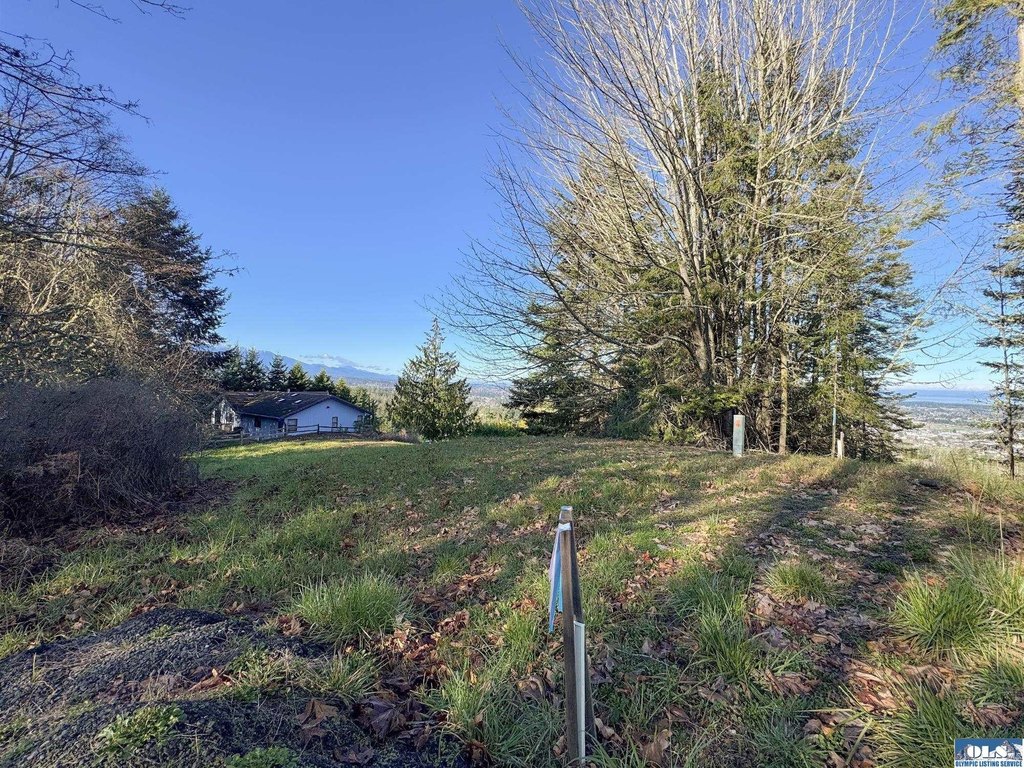 Picture 25