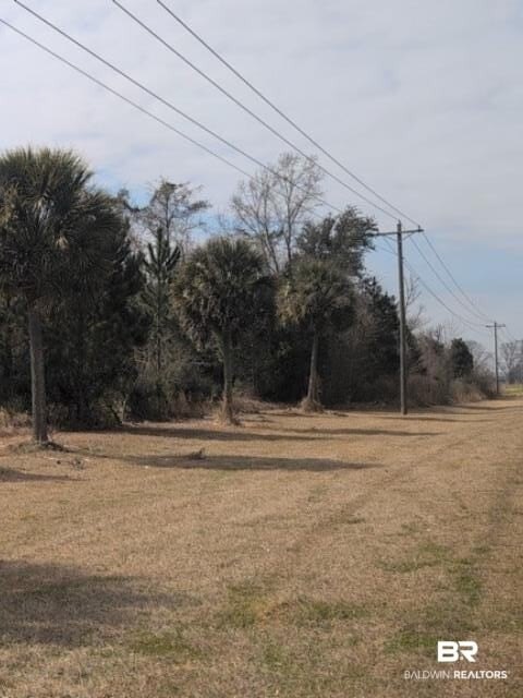 Picture 4