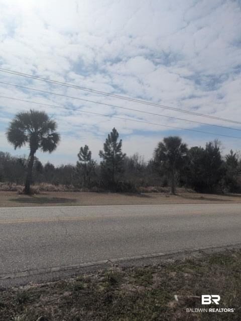 Picture 7