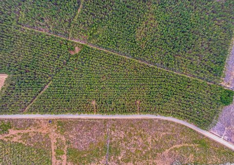 Land with Road Frontage