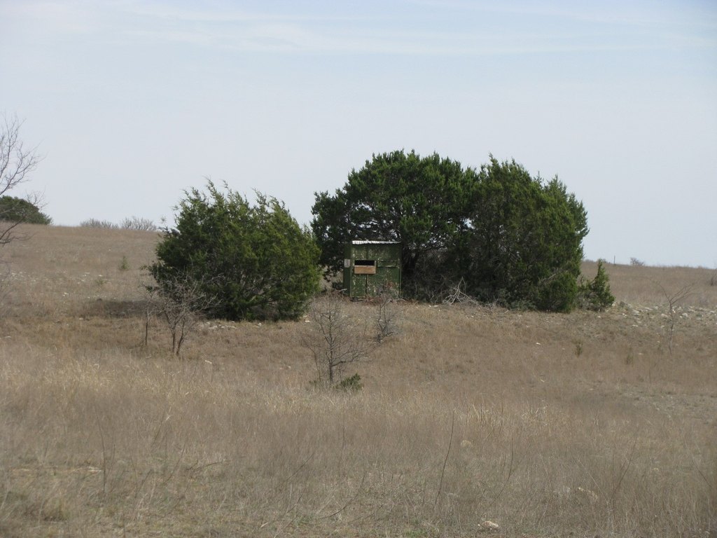 Picture 14