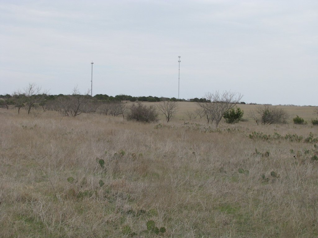 Picture 24