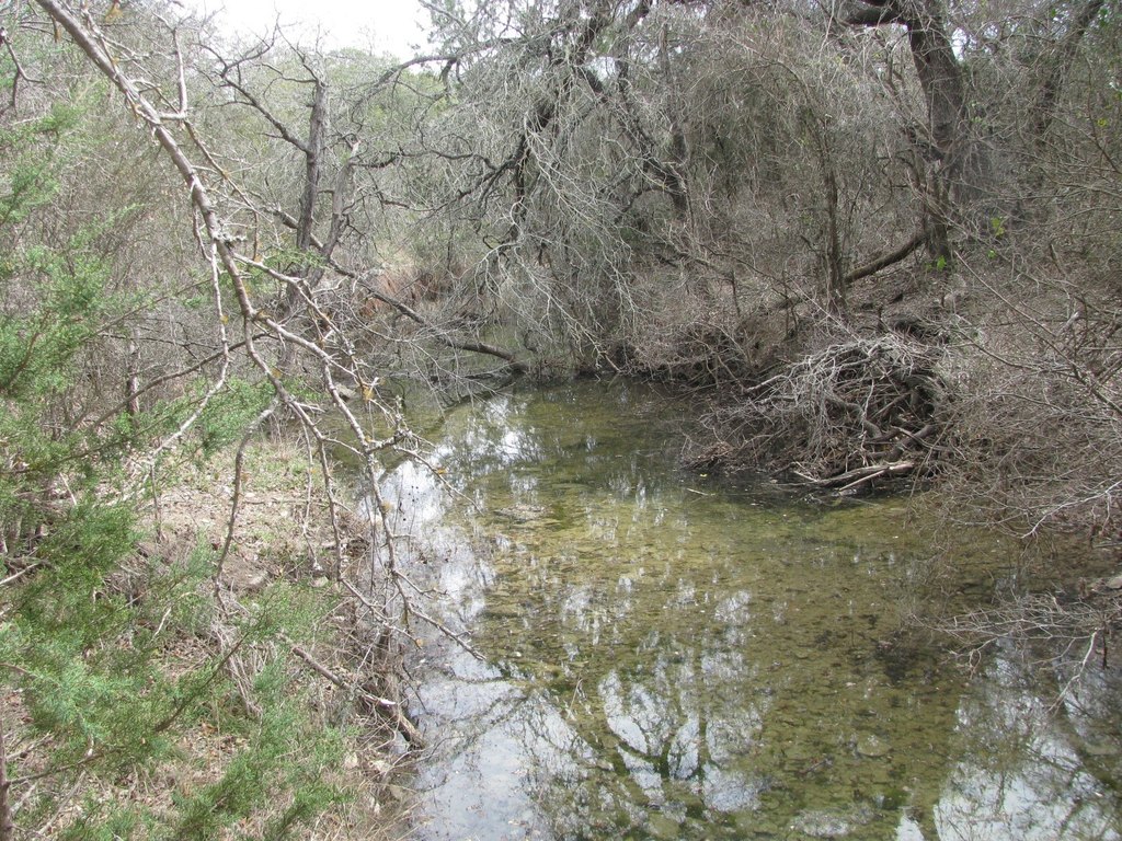 Picture 6