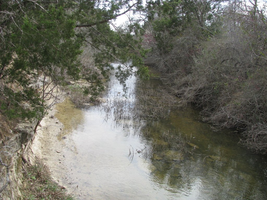 Picture 11