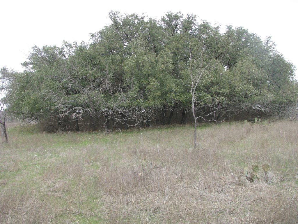 Picture 23