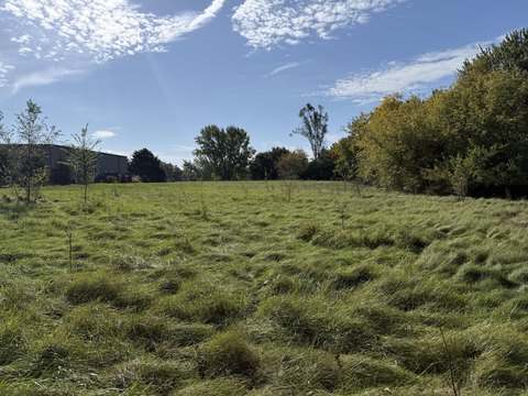 Wales, WI