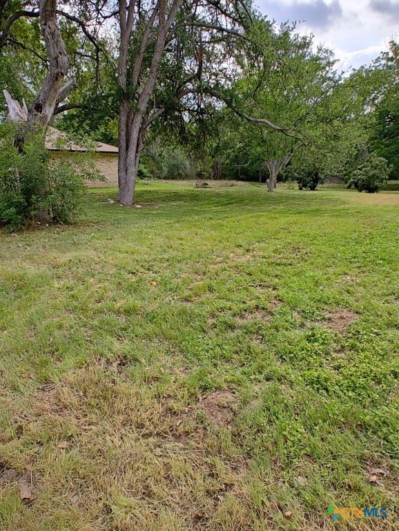 Picture 4