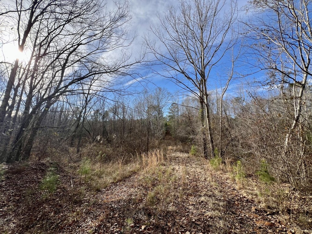 Picture 47