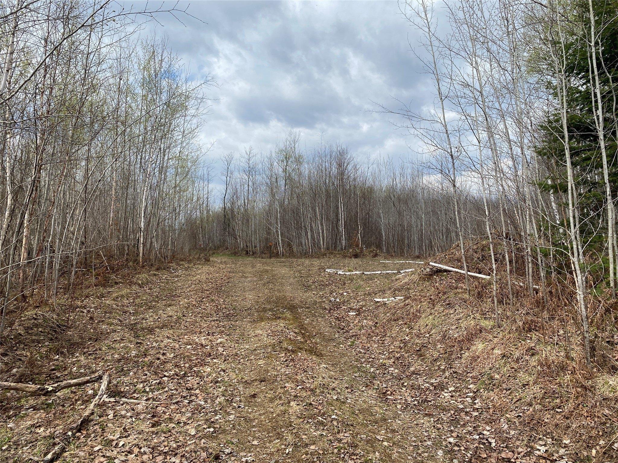 120 Acres in Price County