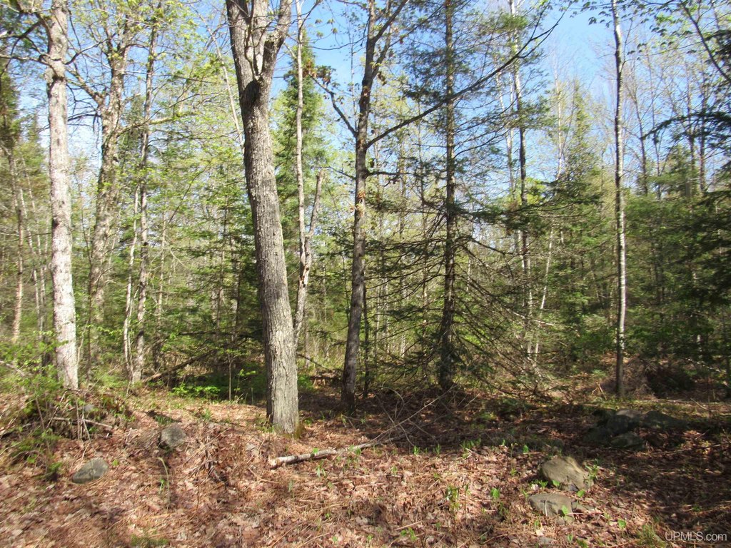 Picture 4