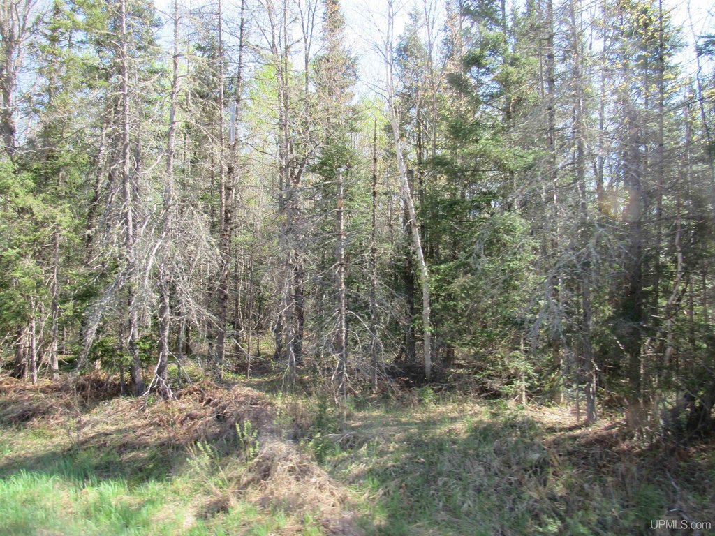 Picture 10