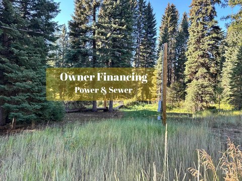 Wooded Homesite with Utilities