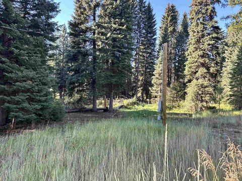LAND - Donnelly, ID
