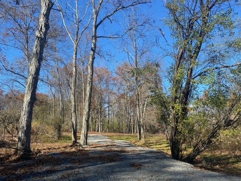 Residential Land in Towanda, PA