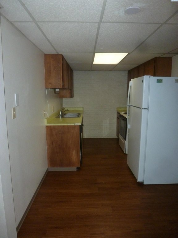 Picture 49