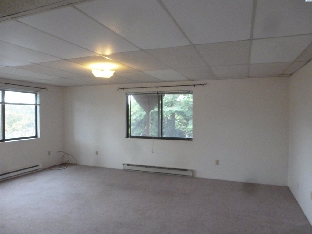 Picture 41