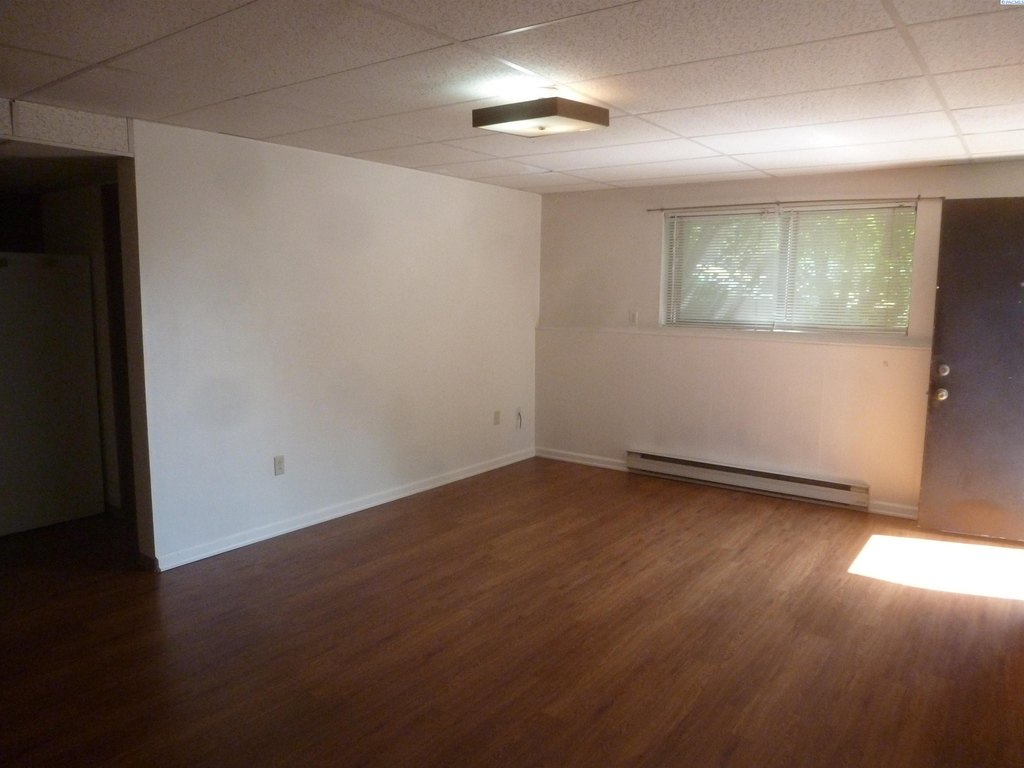 Picture 47