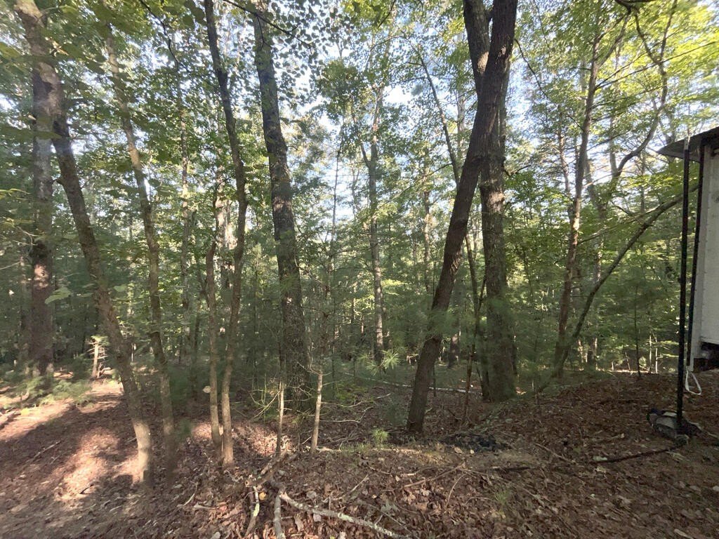 Picture 19