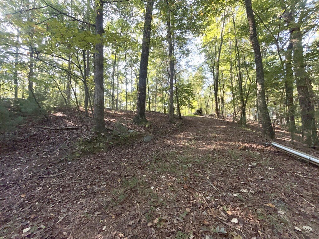 Picture 21