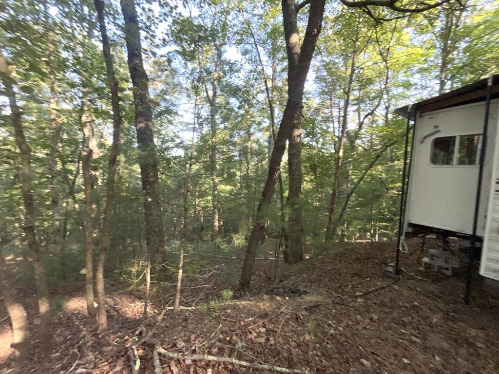 Picture 18
