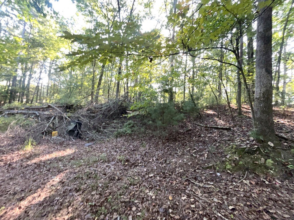 Picture 22