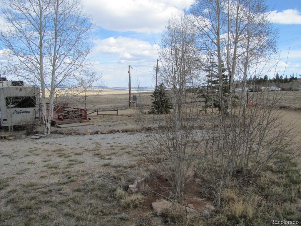 Picture 15