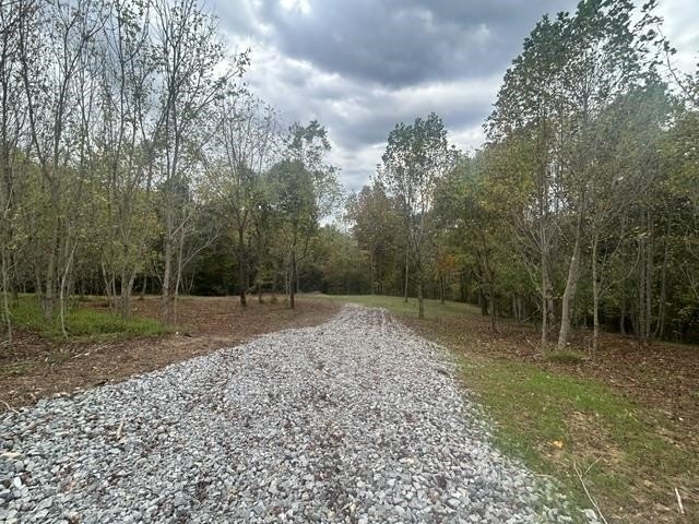 Picture 23