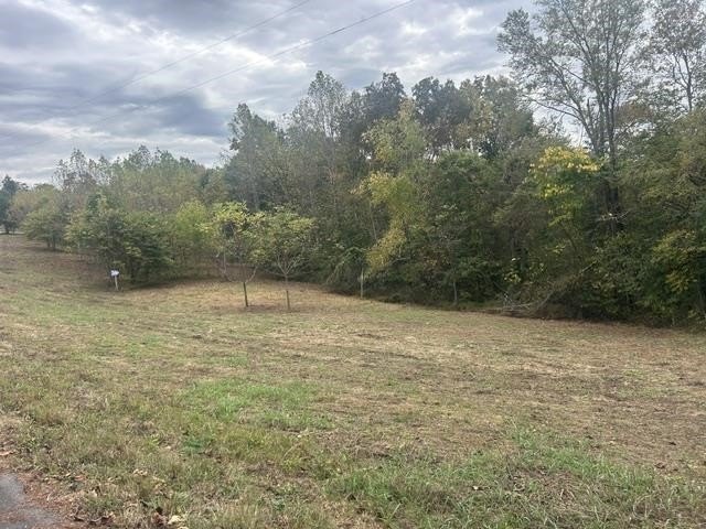 Picture 25