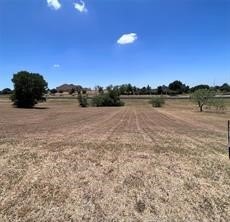 Picture 2