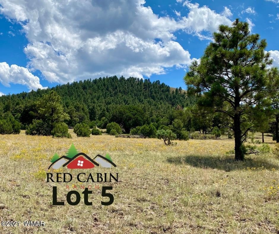 Land with Mountain Views