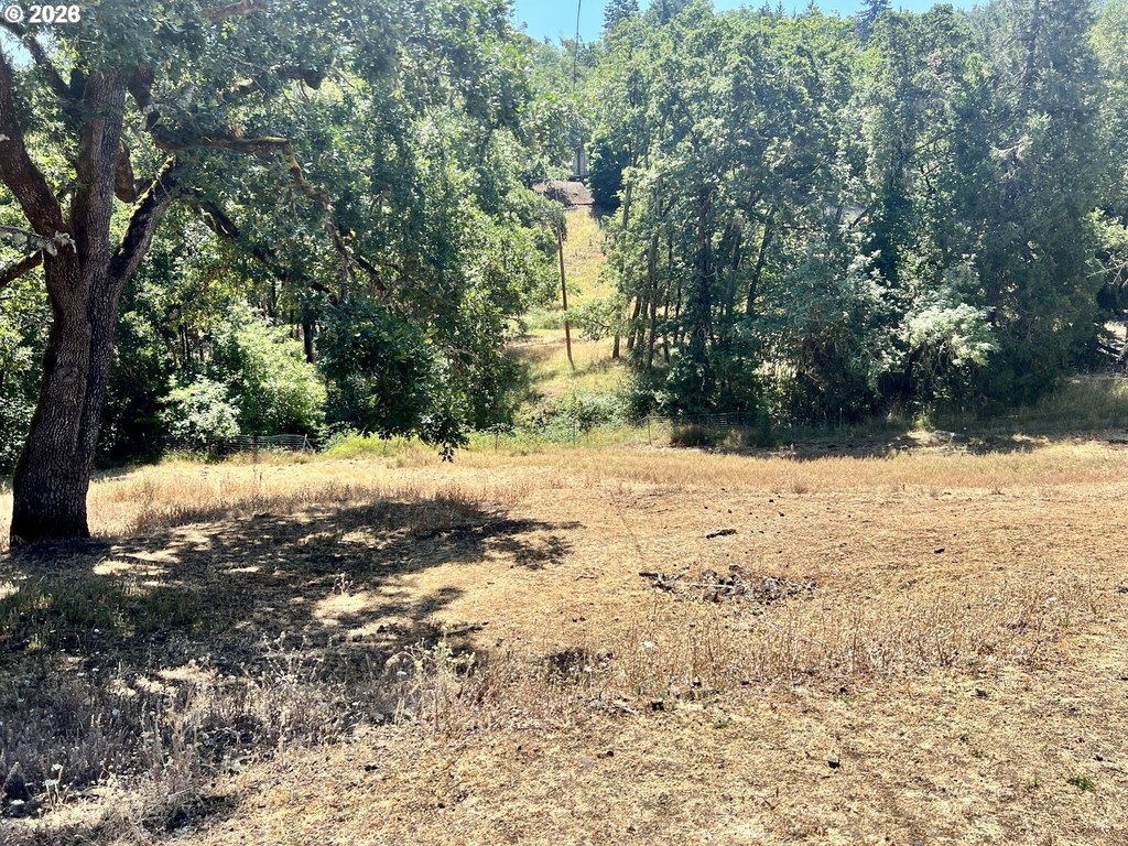 Picture 22