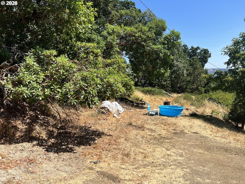 Picture 28