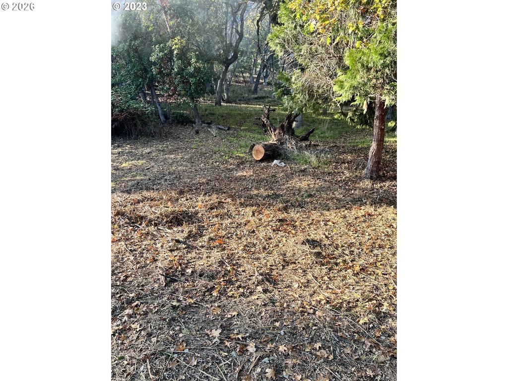 Picture 31