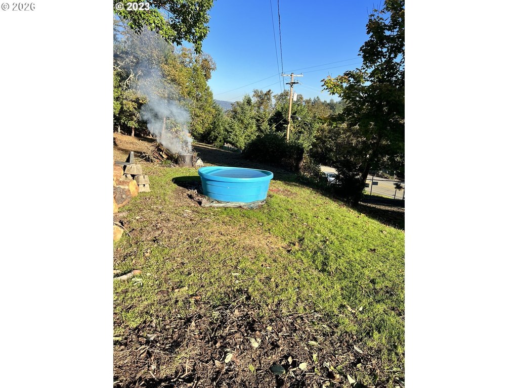 Picture 29