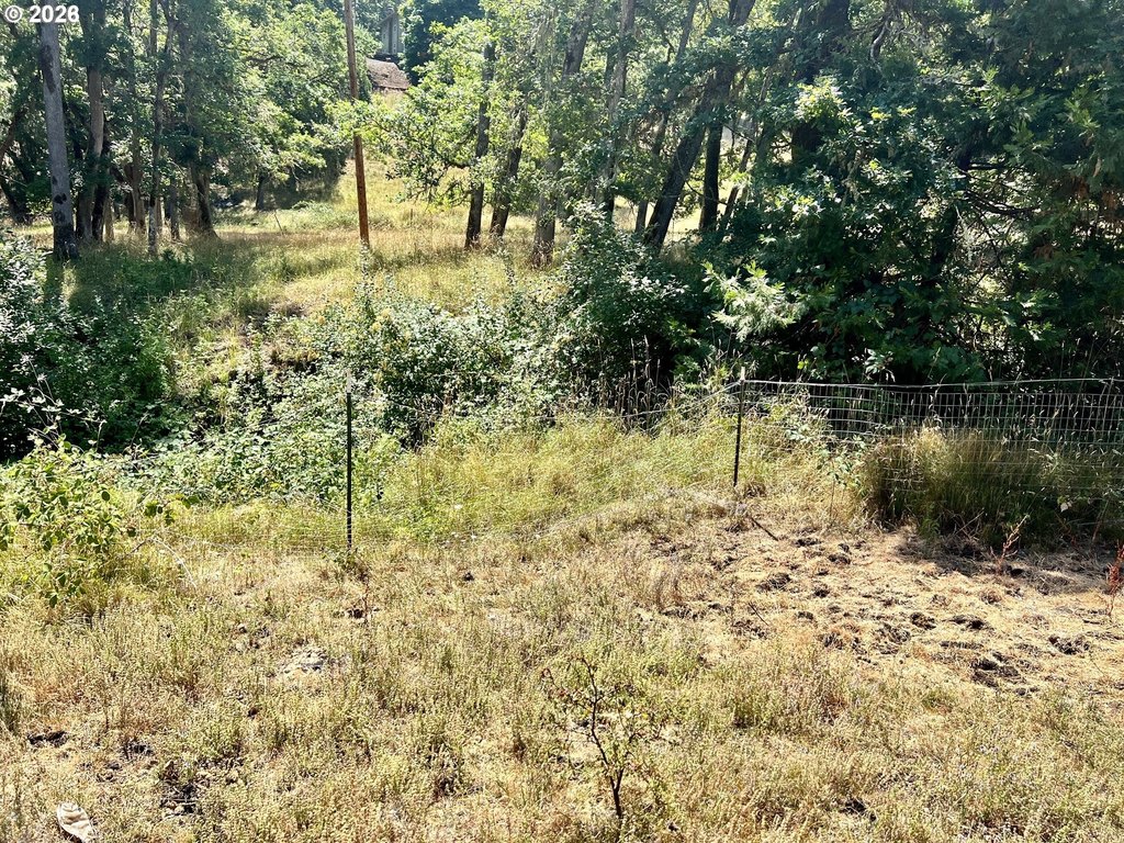 Picture 20