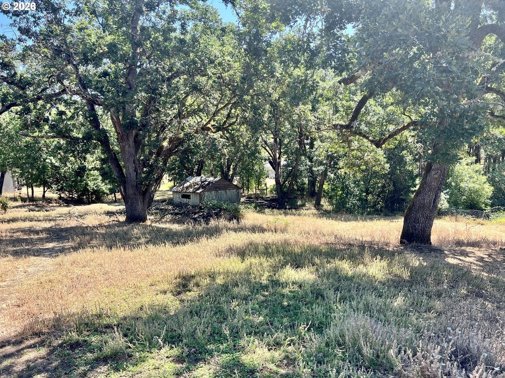 Picture 32