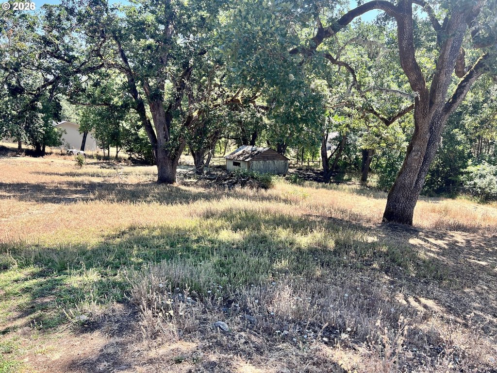 Picture 24