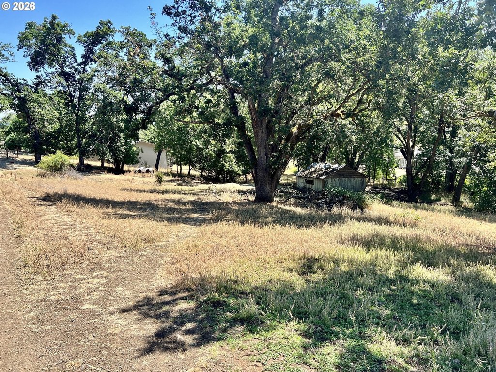 Picture 25