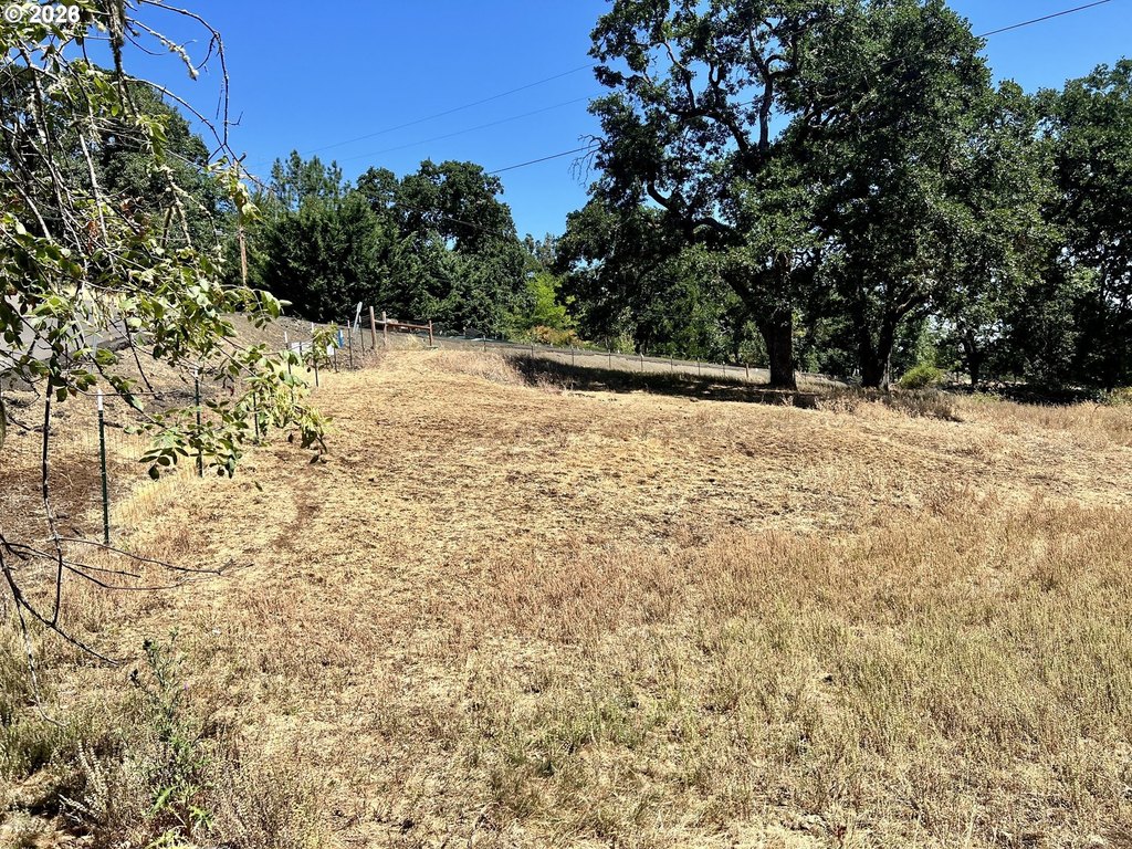 Picture 21