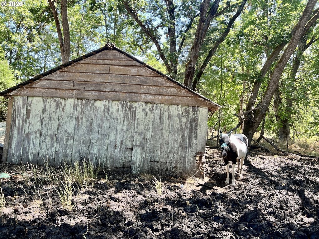 Picture 16