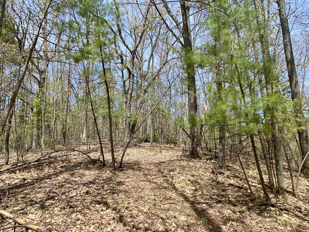 Picture 17