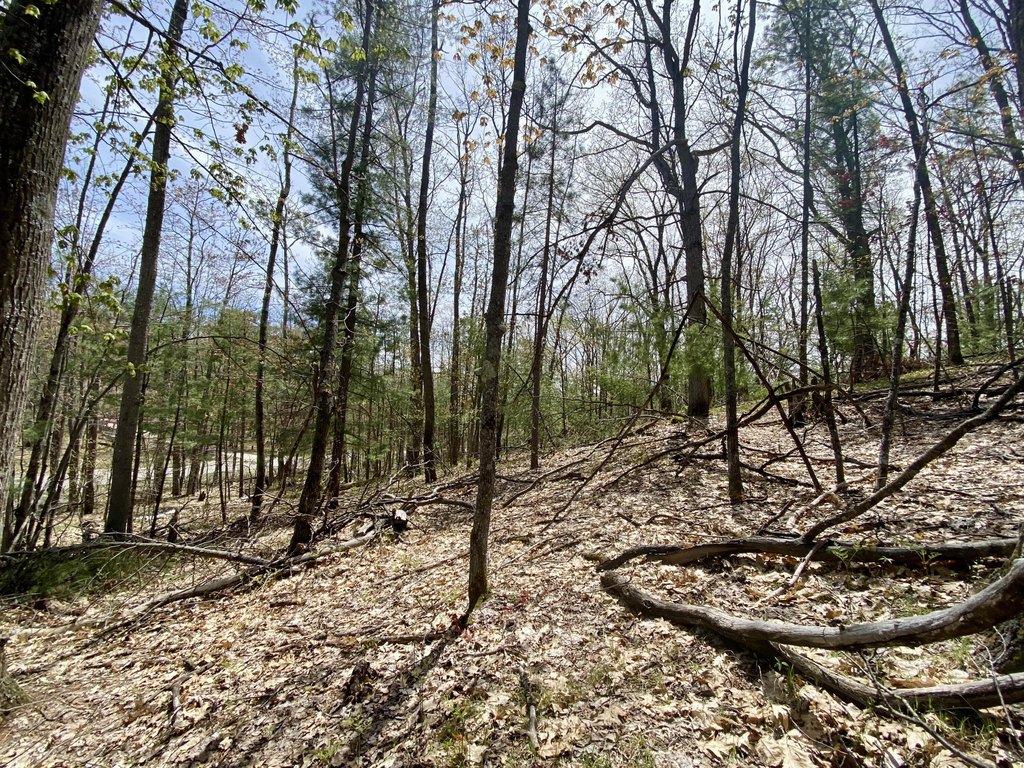 Picture 12