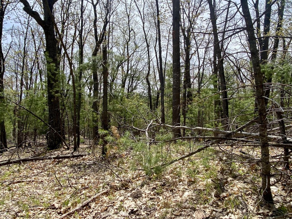 Picture 11