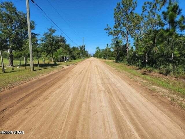 Picture 8