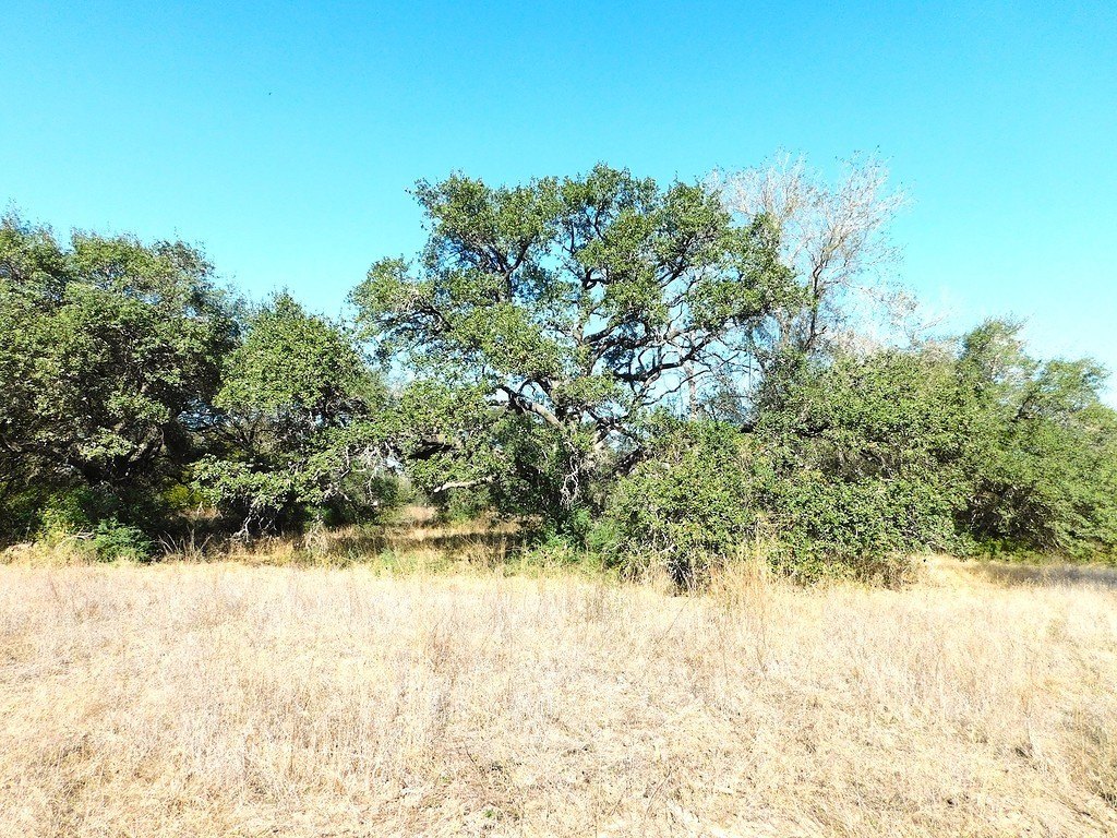 Picture 3