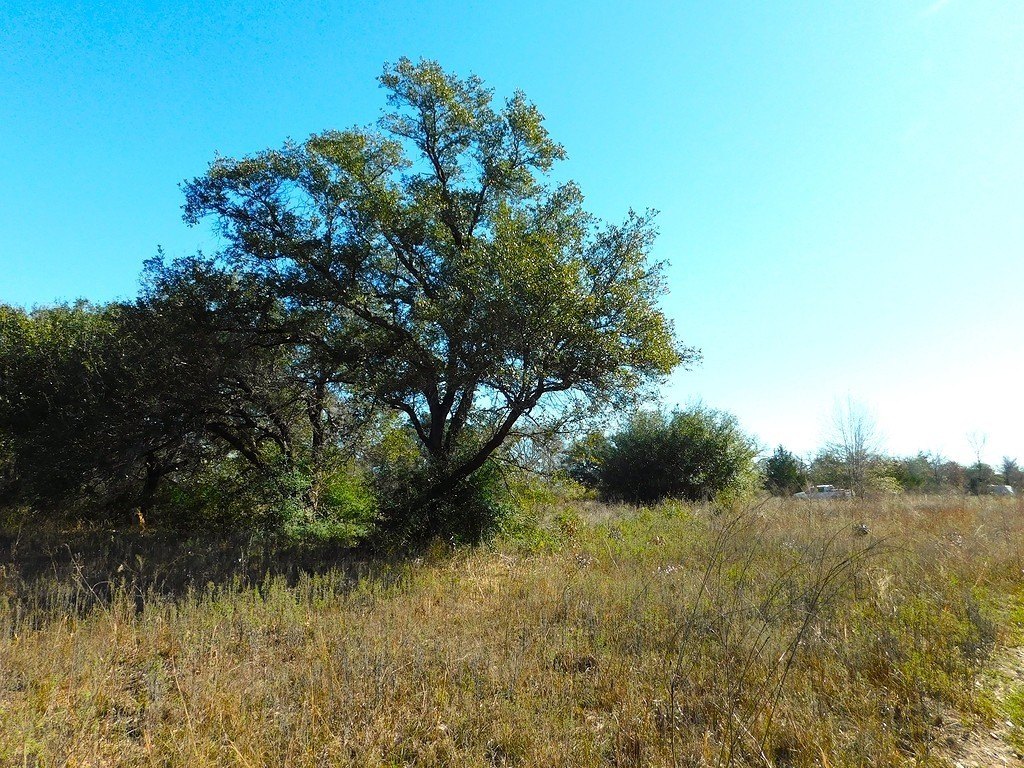 Picture 7