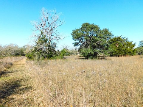 Acreage, Washington, TX